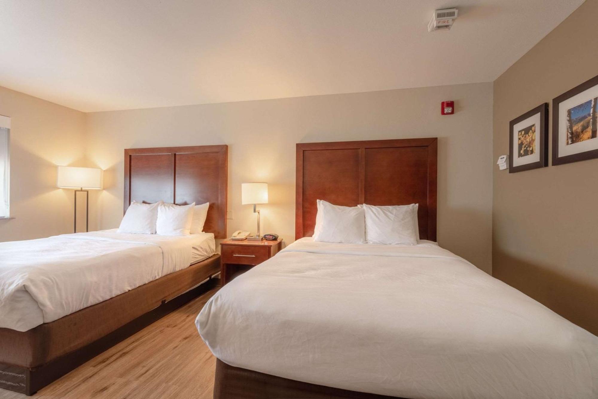 Comfort Inn & Suites Alamosa Exteriör bild